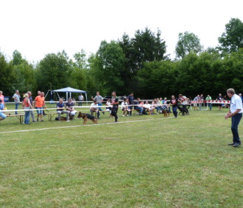 Foto: Stefan Lehnert