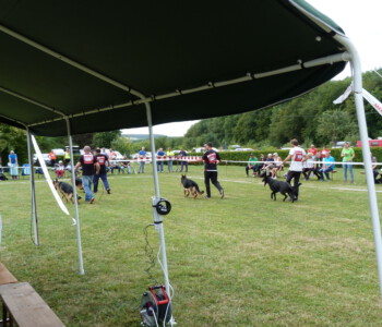 Foto: Stefan Lehnert