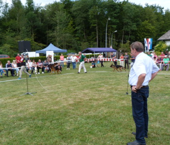 Foto: Stefan Lehnert