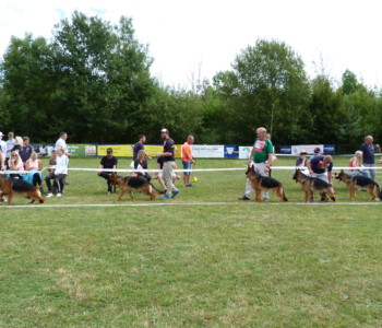 Foto: Stefan Lehnert