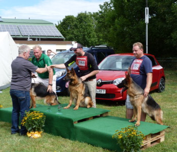 Foto: Stefan Lehnert