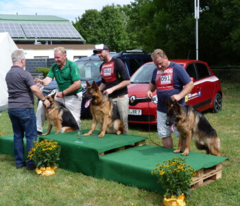 Foto: Stefan Lehnert