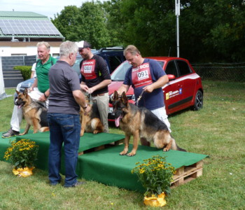 Foto: Stefan Lehnert