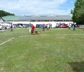 Foto: Stefan Lehnert