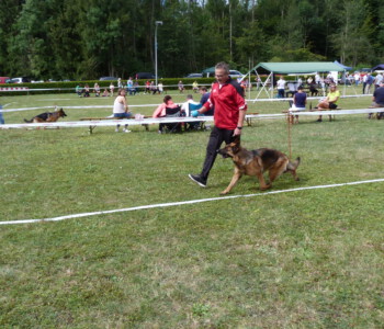 Foto: Stefan Lehnert