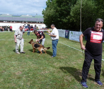 Foto: Stefan Lehnert