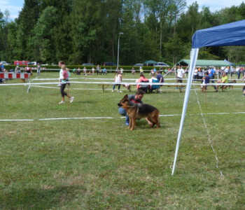 Foto: Stefan Lehnert