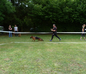 Foto: Stefan Lehnert