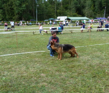 Foto: Stefan Lehnert