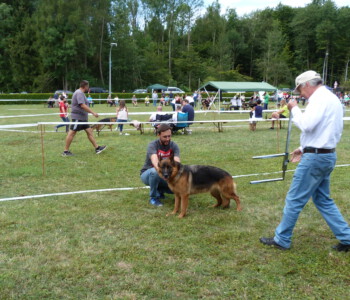 Foto: Stefan Lehnert