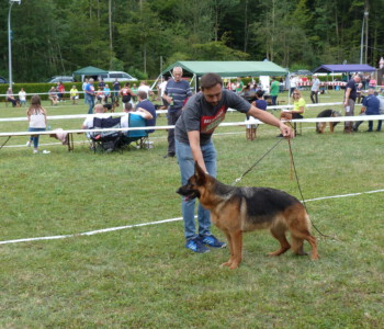 Foto: Stefan Lehnert