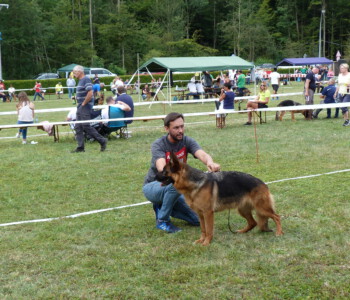 Foto: Stefan Lehnert