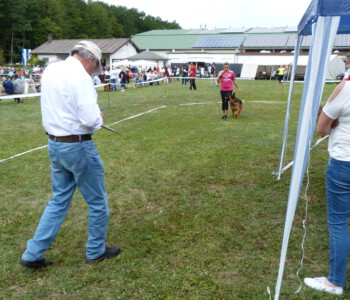 Foto: Stefan Lehnert