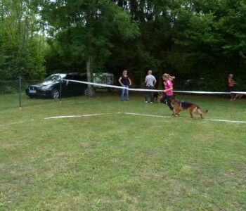 Foto: Stefan Lehnert