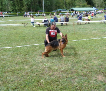 Foto: Stefan Lehnert