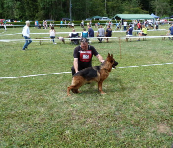 Foto: Stefan Lehnert