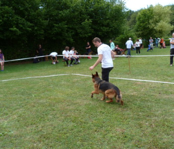 Foto: Stefan Lehnert