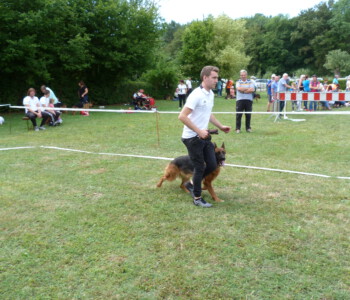 Foto: Stefan Lehnert