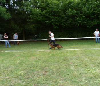 Foto: Stefan Lehnert