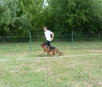 Foto: Stefan Lehnert