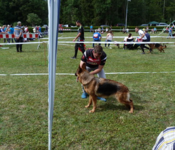 Foto: Stefan Lehnert