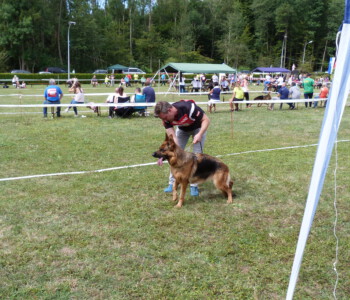 Foto: Stefan Lehnert