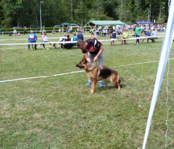 Foto: Stefan Lehnert