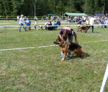 Foto: Stefan Lehnert