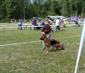 Foto: Stefan Lehnert