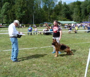 Foto: Stefan Lehnert