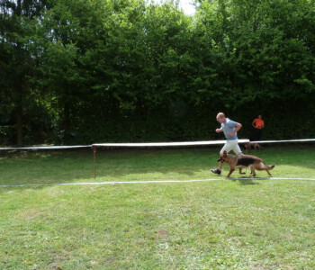 Foto: Stefan Lehnert