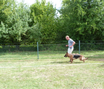 Foto: Stefan Lehnert