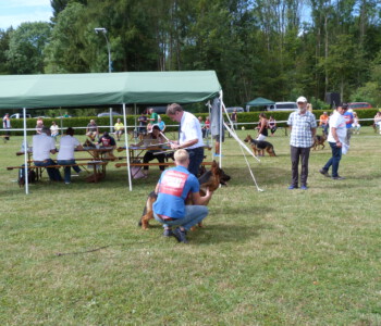 Foto: Stefan Lehnert