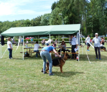 Foto: Stefan Lehnert