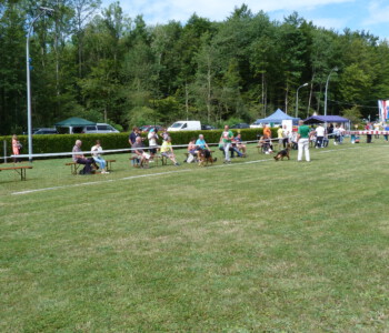 Foto: Stefan Lehnert