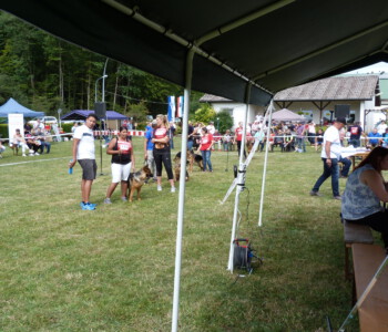 Foto: Stefan Lehnert