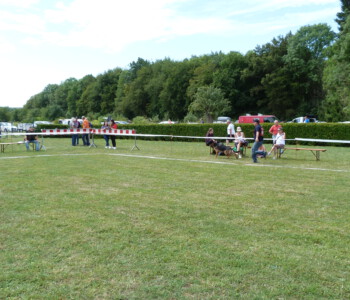 Foto: Stefan Lehnert