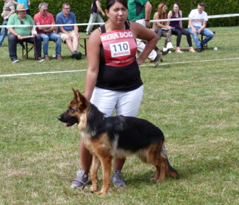 Foto: Stefan Lehnert