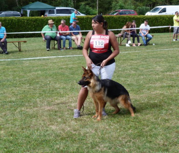 Foto: Stefan Lehnert