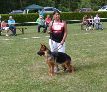 Foto: Stefan Lehnert