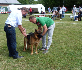 Foto: Stefan Lehnert