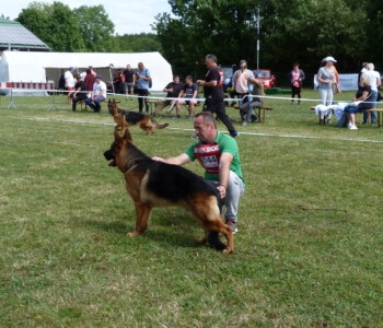 Foto: Stefan Lehnert
