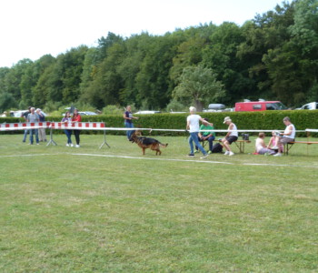 Foto: Stefan Lehnert