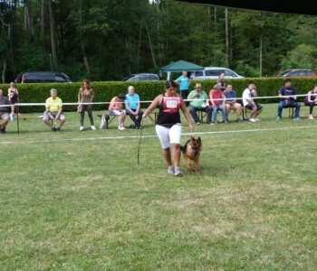 Foto: Stefan Lehnert