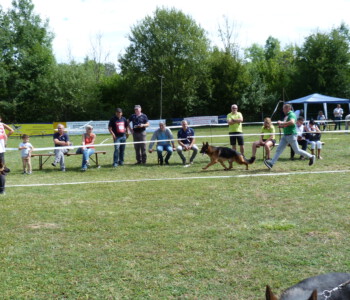 Foto: Stefan Lehnert