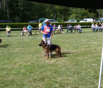 Foto: Stefan Lehnert