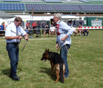 Foto: Stefan Lehnert