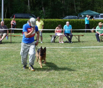 Foto: Stefan Lehnert