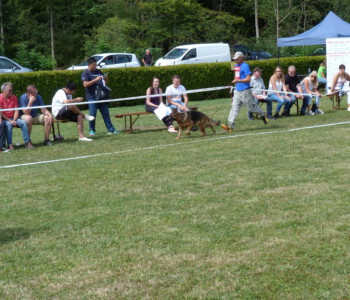 Foto: Stefan Lehnert