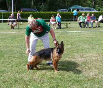 Foto: Stefan Lehnert